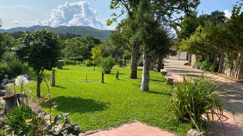 Quinta Dos Amores Ponte de Lima Eksteriør bilde